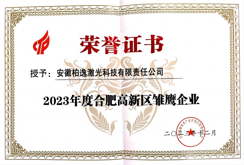 2023年度合肥高新区维鹰企业(1).jpg